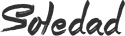 xalapanoticias.com